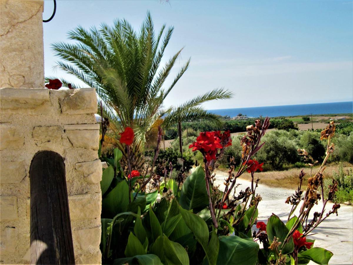 Villa Dioni Bahía de Coral Exterior foto
